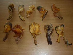 Hukum Obat Tangkur Buaya dan Menggunakan Bahan Dari Kulit Buaya