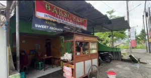 Pork Meatballs Go Viral, Importance of Transparency in Product Information